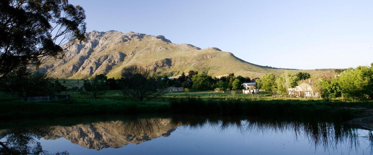 Rozendal Farm Cottage Stellenbosch Kültér fotó